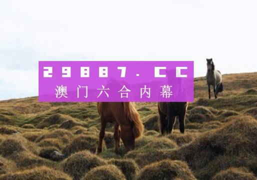 澳門(mén)今晚開(kāi)獎(jiǎng)什么，揭秘彩票背后的秘密與策略分析，澳門(mén)彩票開(kāi)獎(jiǎng)揭秘，策略分析與秘密探索