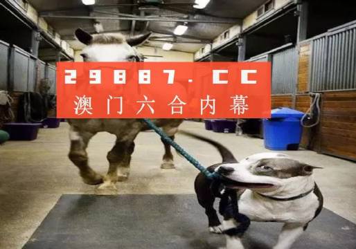 澳門一肖一碼一必中一肖，同舟前進(jìn)的奧秘與策略，澳門一肖一碼必中策略與前進(jìn)奧秘，同舟共濟(jì)的揭秘與策略