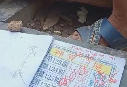 香港中特期期準資料，深度解析與探索，香港中特期期準資料深度解析與探索報告