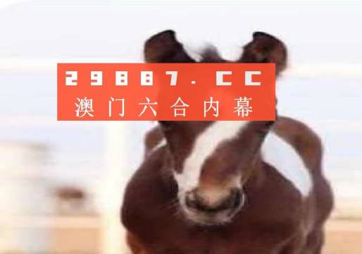 澳門一肖一碼狀元紅，揭秘彩票背后的秘密與策略，澳門彩票揭秘，狀元紅背后的秘密與策略解析