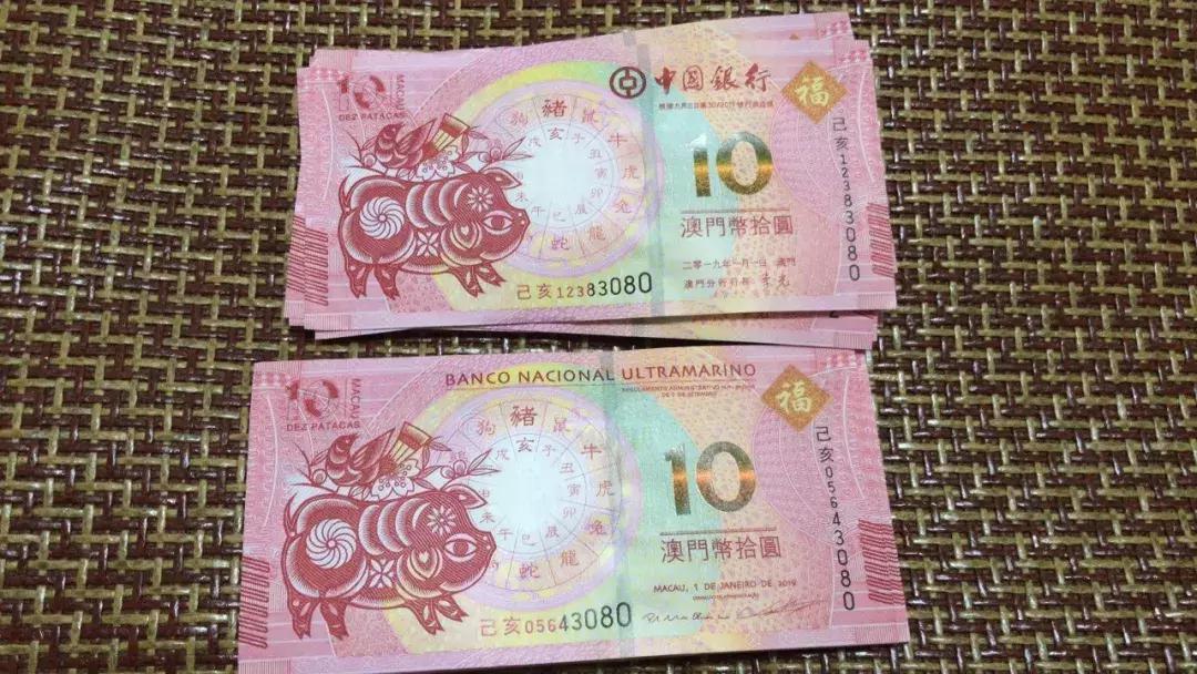 新澳門生肖走勢圖，深度解析與預(yù)測，澳門生肖走勢圖深度解析及預(yù)測報告