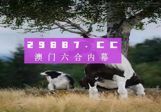 澳門天天空彩官網資料，探索彩票世界的門戶，澳門天天空彩官網資料，彩票世界探索門戶
