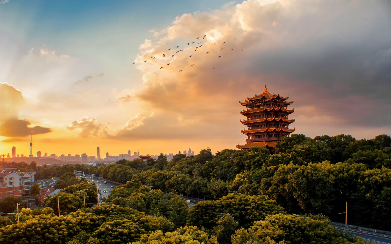 103期:【?黃鶴樓?歲月靜好?④肖中特】審核通過?黃鶴樓8888043.com