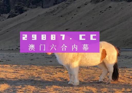 澳門天天彩資料正版免費(fèi)特色快8，探索彩票世界的魅力與機(jī)遇，澳門天天彩正版特色快8，彩票世界的魅力與機(jī)遇探索
