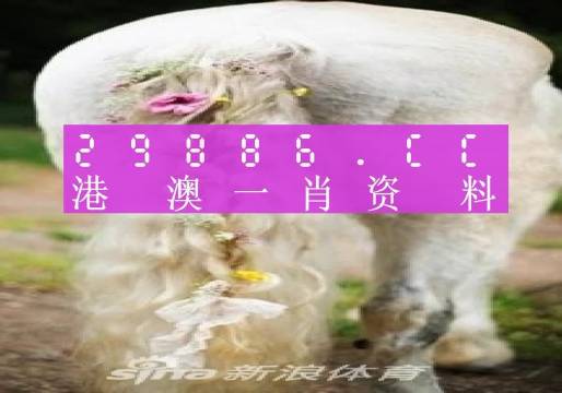 澳門羊了個羊與各大圖庫的資料揭秘，2023年澳門今晚必中一肖一碼永久免費(fèi)資料庫大解密，澳門羊了個羊與資料庫揭秘，2023年必中一肖一碼永久免費(fèi)資料大解密