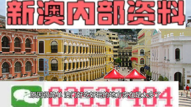 澳門(mén)精準(zhǔn)資料大全免費(fèi)，探索與解析，澳門(mén)精準(zhǔn)資料大全免費(fèi)解析探索
