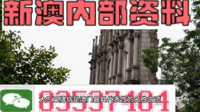 澳門最精準(zhǔn)資料，探索未來(lái)的預(yù)測(cè)與趨勢(shì)（2025新澳門展望），澳門未來(lái)展望，精準(zhǔn)資料揭示未來(lái)預(yù)測(cè)與趨勢(shì)（2025新澳門展望）