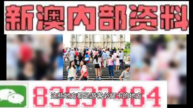 新澳天天開獎(jiǎng)資料大全旅游團(tuán)——探索澳門的魅力之旅，澳門魅力探索之旅，新澳天天開獎(jiǎng)資料大全旅游團(tuán)