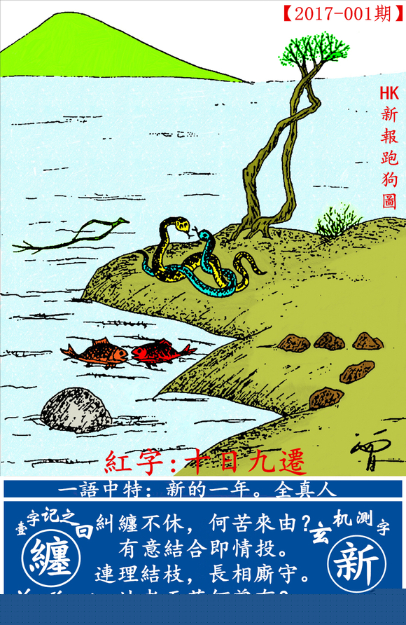 探索全新版跑狗圖，7777788888的魅力與策略，探索全新版跑狗圖，7777788888的魅力與攻略解析