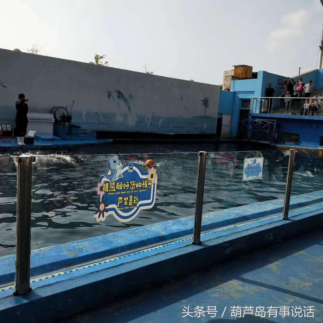 揭秘9點30分彩新澳，全方位解讀彩票新玩法，揭秘9點30分彩新澳，全方位解讀彩票新玩法攻略