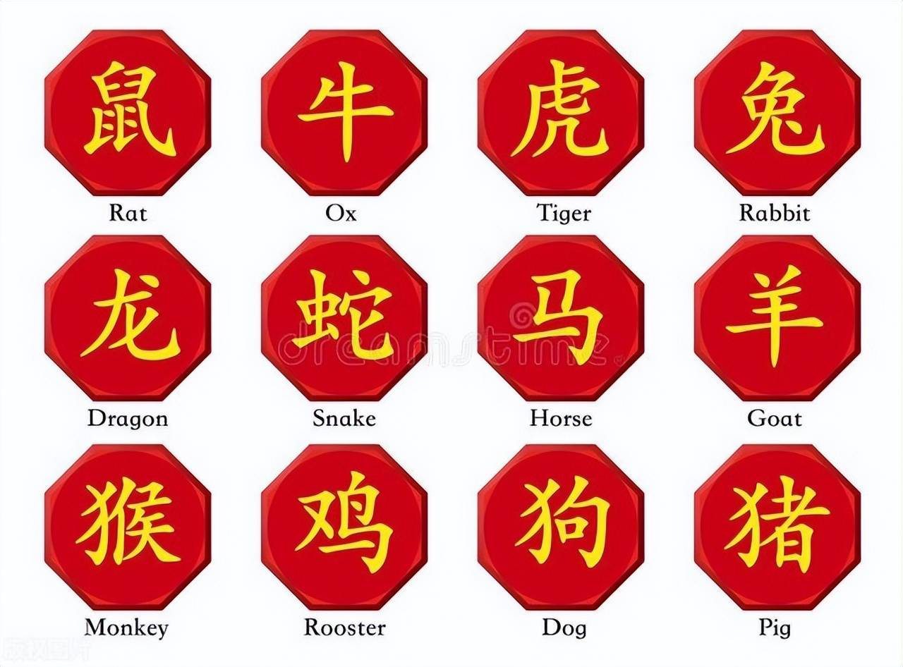 新澳特碼，羊?；⒏鲾?shù)10——揭秘背后的數(shù)字奧秘，揭秘新澳特碼數(shù)字奧秘，羊牛虎各數(shù)背后的秘密
