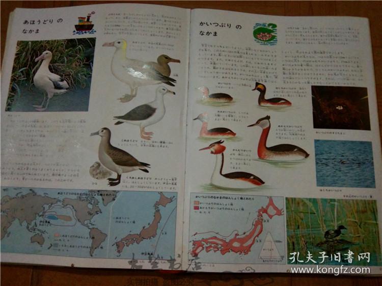 今日正版跑狗圖分享，探索7777788888跑狗圖的魅力，今日正版跑狗圖分享，探索魅力十足的777778跑狗圖