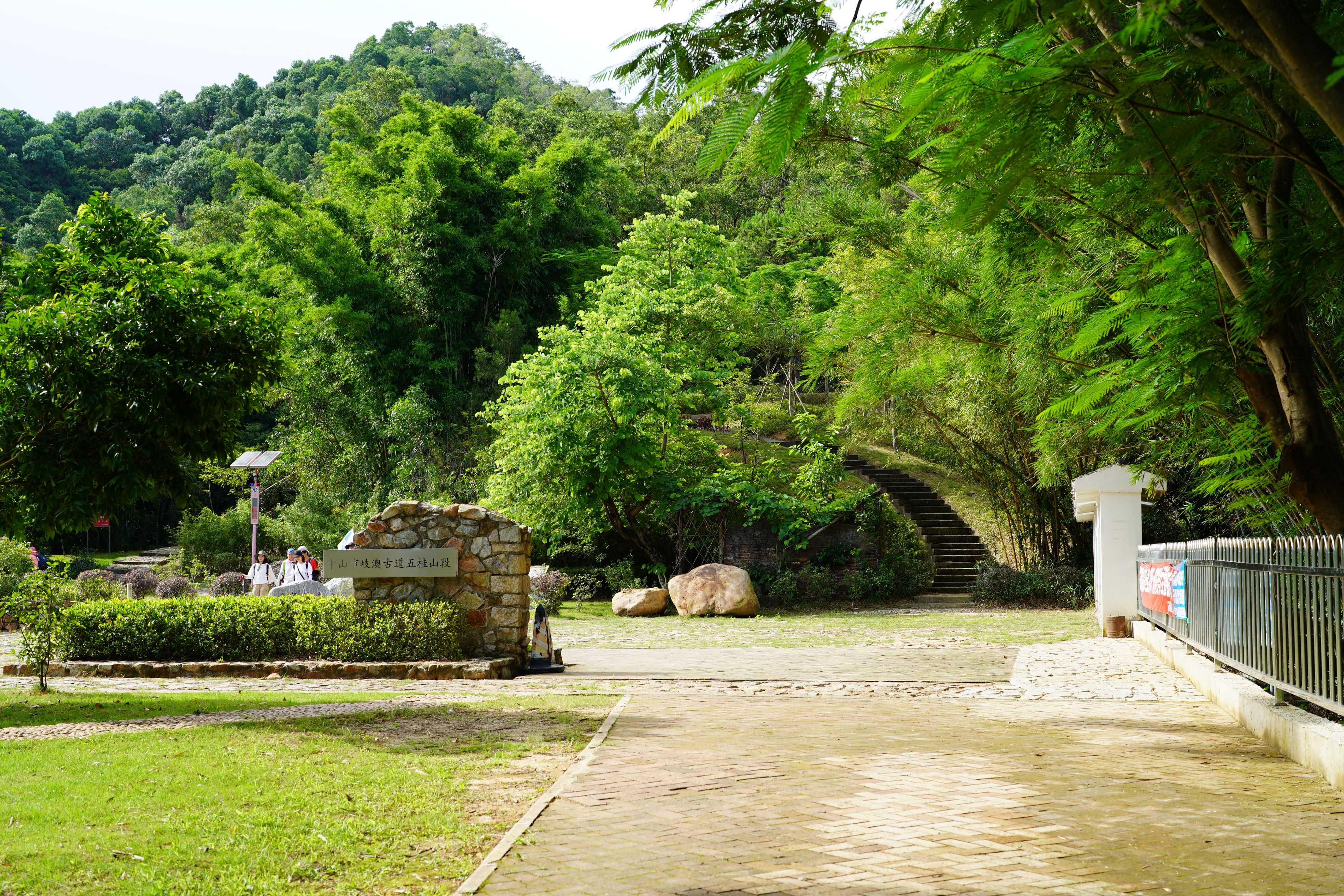 新澳門彩生肖走勢圖，探索與解讀彩票背后的秘密，探索解讀新澳門彩生肖走勢圖，彩票背后的秘密揭秘