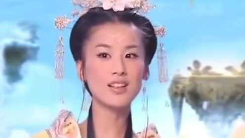 曾道道人資料免費大全，深度探索與解析，曾道道人資料深度解析與免費大全探索