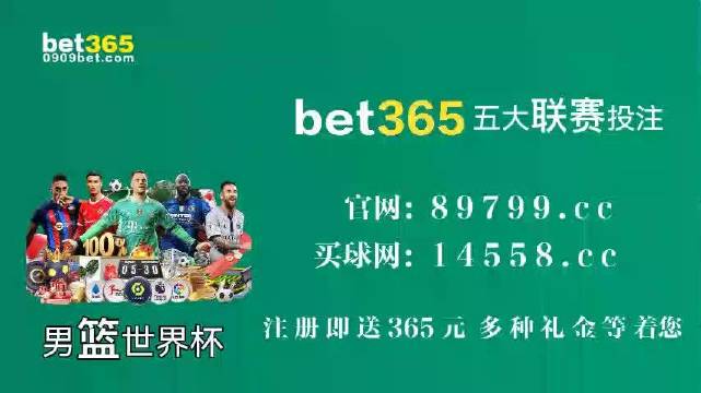 王中王中特馬王中王精準(zhǔn)資料解析與SEO優(yōu)化策略探討，王中王中特馬精準(zhǔn)資料解析與SEO策略探討