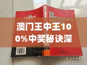 新澳門王中王期期中，探索與解析，新澳門王中王期期中，深度探索與解析