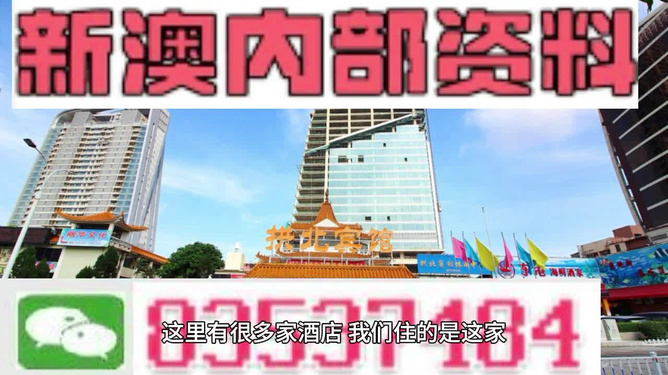 澳門芳草地精準(zhǔn)資料站，探索與優(yōu)化的SEO之路，澳門芳草地精準(zhǔn)資料站，SEO之路的探索與優(yōu)化
