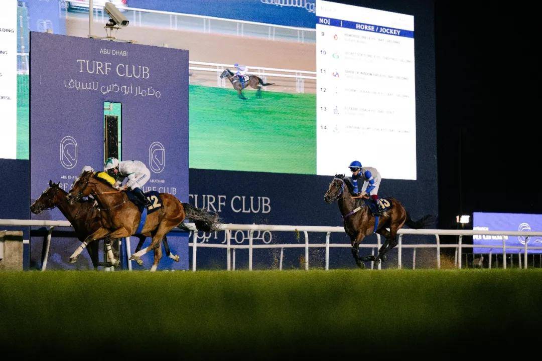 澳門特馬今晚開獎一，探索彩票背后的秘密與期待，澳門特馬今晚開獎，揭秘彩票背后的秘密與期待大獎的激動心情