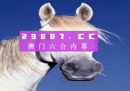 澳門今晚一肖一碼，探索與預(yù)測，澳門今晚一肖一碼，探索幸運(yùn)與預(yù)測之謎