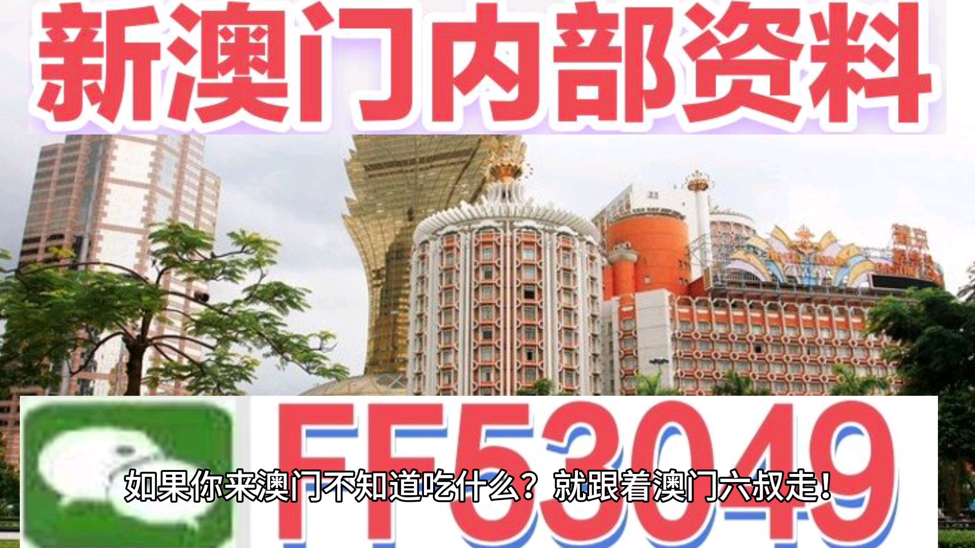 澳門今晚特馬生肖預測，探尋未來的幸運符號（2025年），澳門生肖預測揭秘，探尋未來幸運符號（特馬生肖預測 2025年展望）