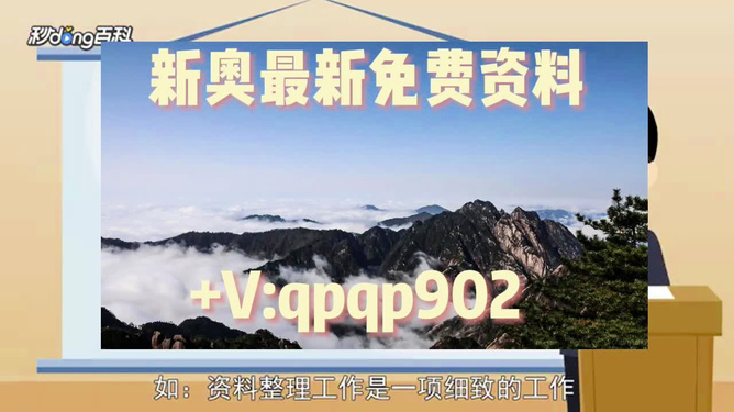 新奧正版資料最新更新 2025年展望，新奧正版資料最新更新，展望2025年