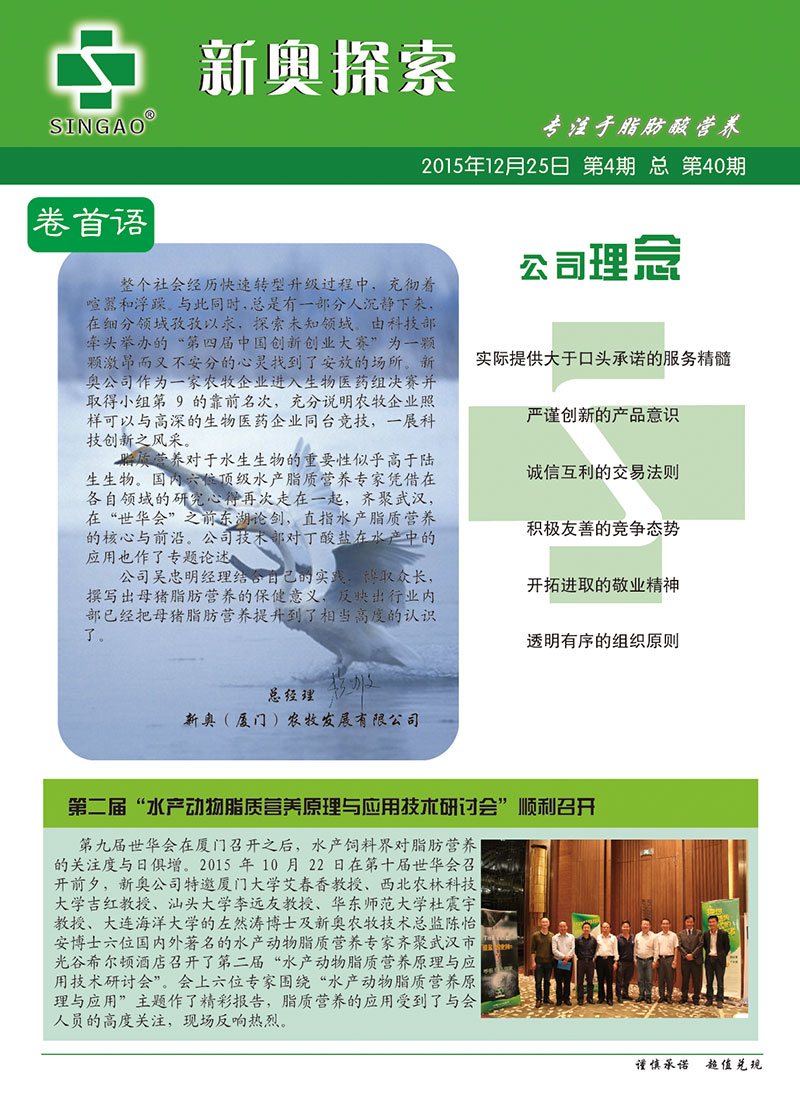 2025新澳正版資料查詢指南，2025新澳正版資料查詢手冊