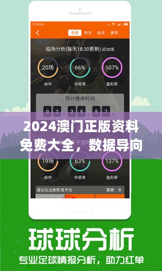 香港鐵算4887最準資料246，揭秘精準預測的秘密，揭秘香港鐵算4887最準資料246，精準預測的秘密探索