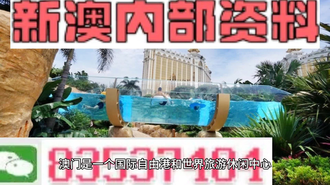 新澳的資料去哪里找——全面指南，新澳資料全攻略，尋找資料的途徑與指南