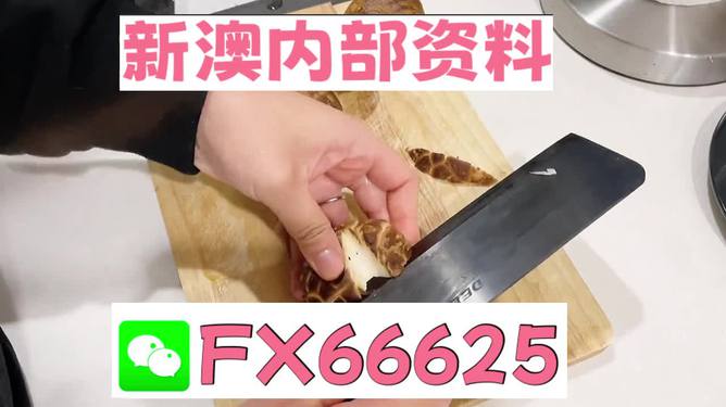 澳門九點半9點半網(wǎng)站——探索其魅力與優(yōu)勢，澳門九點半網(wǎng)站，魅力與優(yōu)勢探索