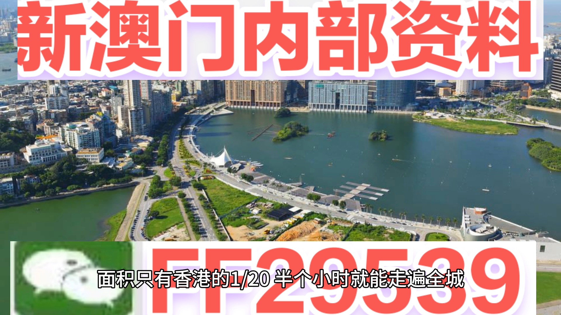 澳門(mén)特碼，探索其背后的秘密與魅力，澳門(mén)特碼背后的秘密與魅力探索