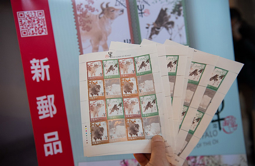 澳門值日生肖600圖庫與八百圖庫開獎，探索生肖圖庫的魅力與奧秘，澳門生肖圖庫開獎揭秘，探索值日生肖600圖庫與八百圖庫的魅力與奧秘