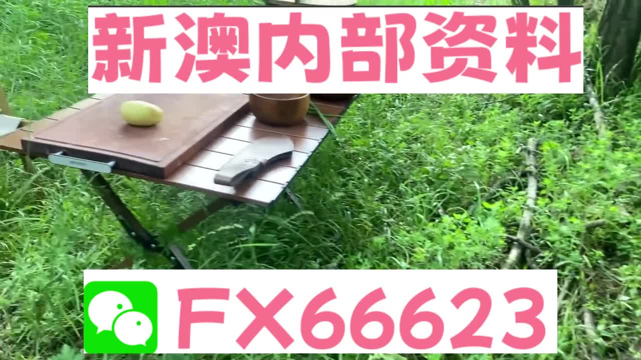 新奧特碼走勢(shì)圖解析與預(yù)測(cè)，新奧特碼走勢(shì)圖解析與預(yù)測(cè)，未來趨勢(shì)探討