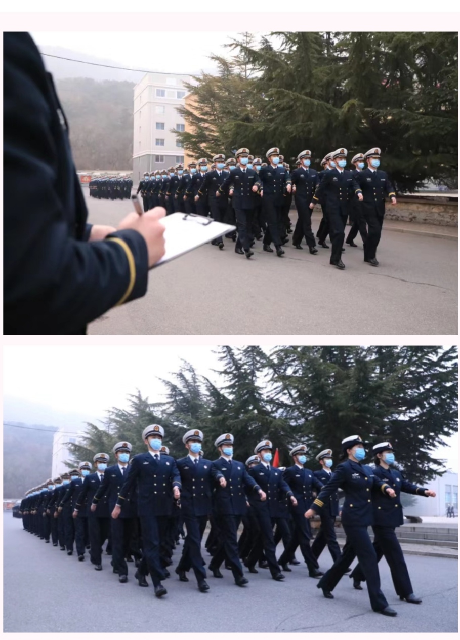 新聞咨詢 第13頁