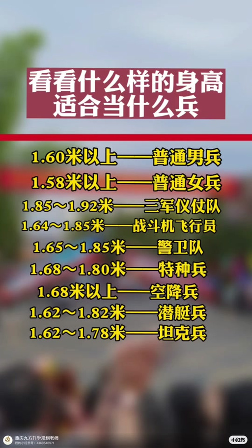 儀仗兵身高標(biāo)準(zhǔn)，探究與解析，儀仗兵身高標(biāo)準(zhǔn)，探究與詳解
