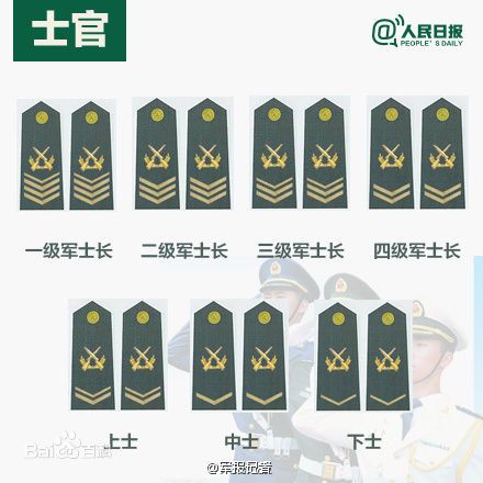 全球各國(guó)軍士長(zhǎng)軍銜對(duì)照表及其重要性，全球各國(guó)軍士長(zhǎng)軍銜對(duì)照表，揭示其重要性
