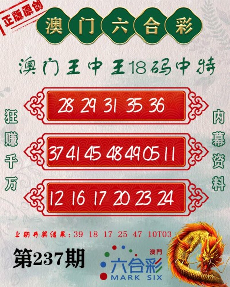 新澳門王中王期期中，探索與解析，新澳門王中王期期中，深度探索與解析