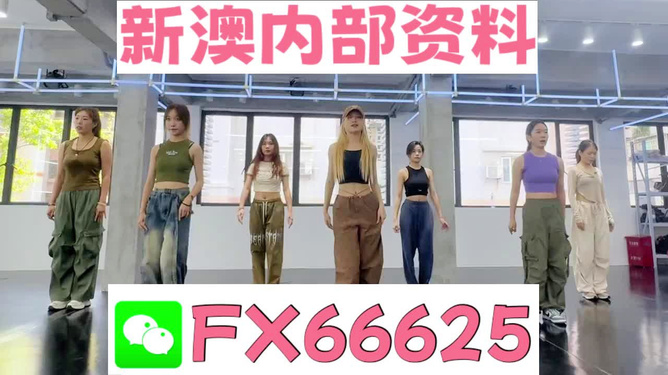 新澳持碼會(huì)資料詳解，新澳持碼會(huì)資料全面解析